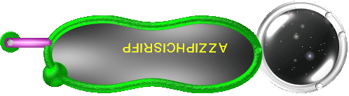 Pfirsichpizza